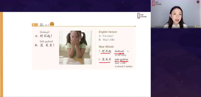 HSK1 Mastery: 15 Professional Online Courses by Expert Teachers (Standard Textbook Focus)