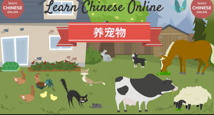 b518ddea-dfc1-4ab2-bac1-46f8f5fed02a HSK Animated Video Bundle: 182 Premium Lessons for HSK 1-6 (Full Coverage)